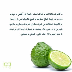 اسانس یا روغن برگاموت