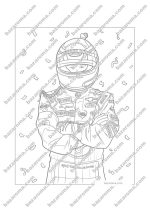 water mark- inside nascar